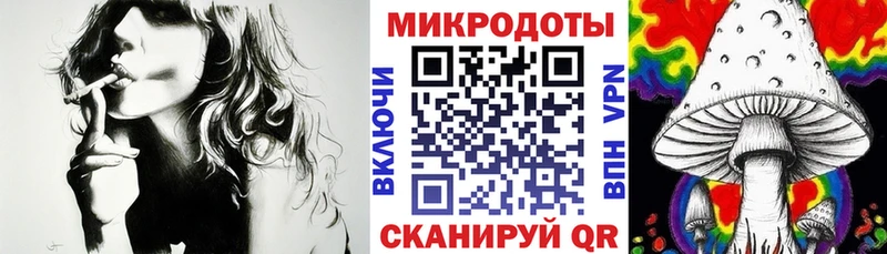 магазин продажи наркотиков  Ивдель  Галлюциногенные грибы Psilocybine cubensis 